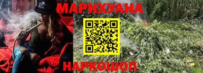 гидропоника Пугачёв