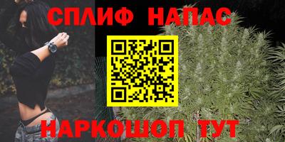 гидропоника Пугачёв