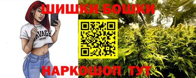 гидропоника Пугачёв