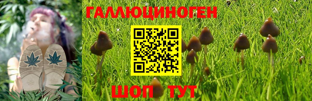 Заречный  Галлюциногенные грибы мухоморы  Вход с VPN 