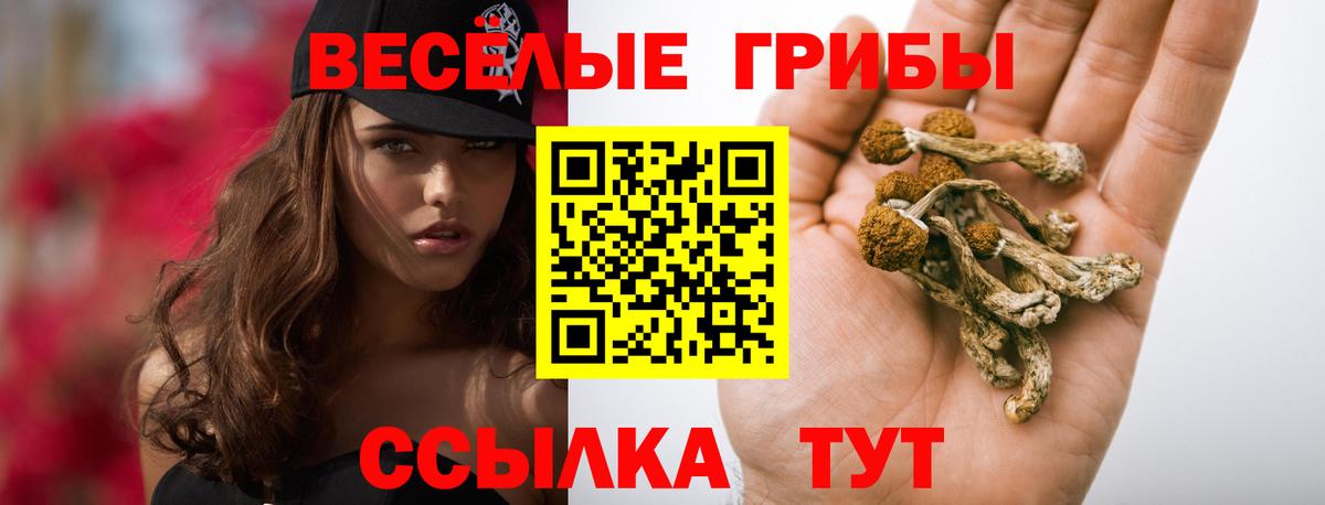 ТГК Заречный