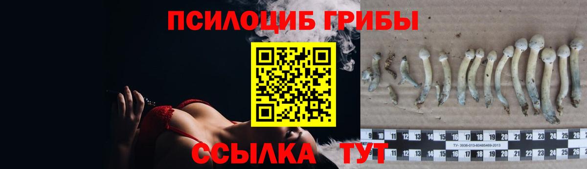 Галлюциногенные грибы мухоморы Заречный